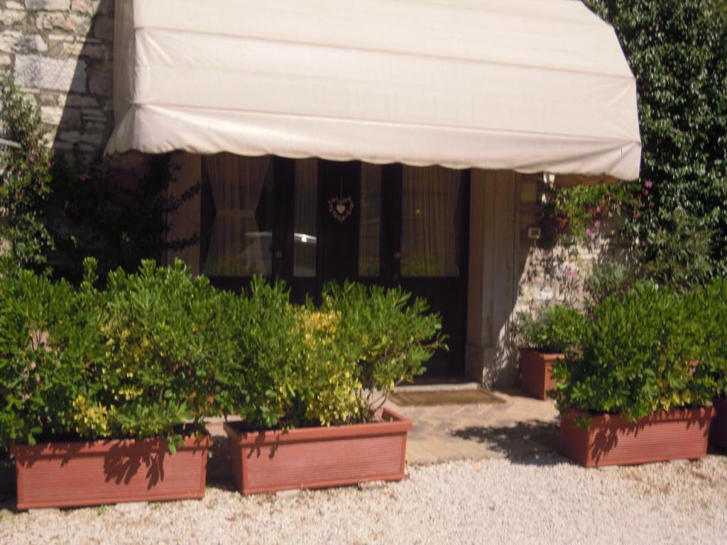 Il Turrione Apartment Асизи Екстериор снимка